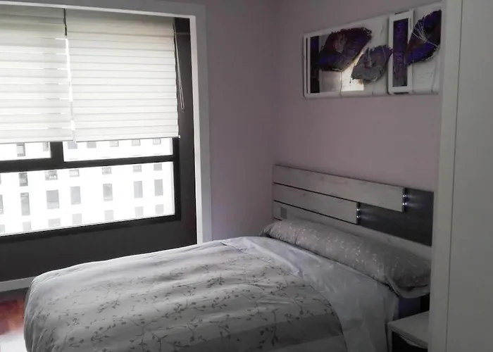 아파트 Grande, Luminoso Y Con Garage, 3 En El Camino De Santiago